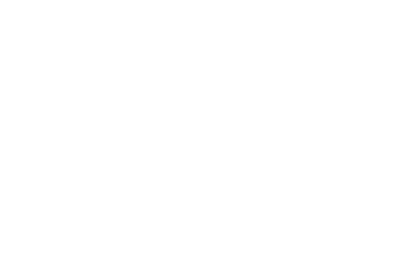ElenorExpress
